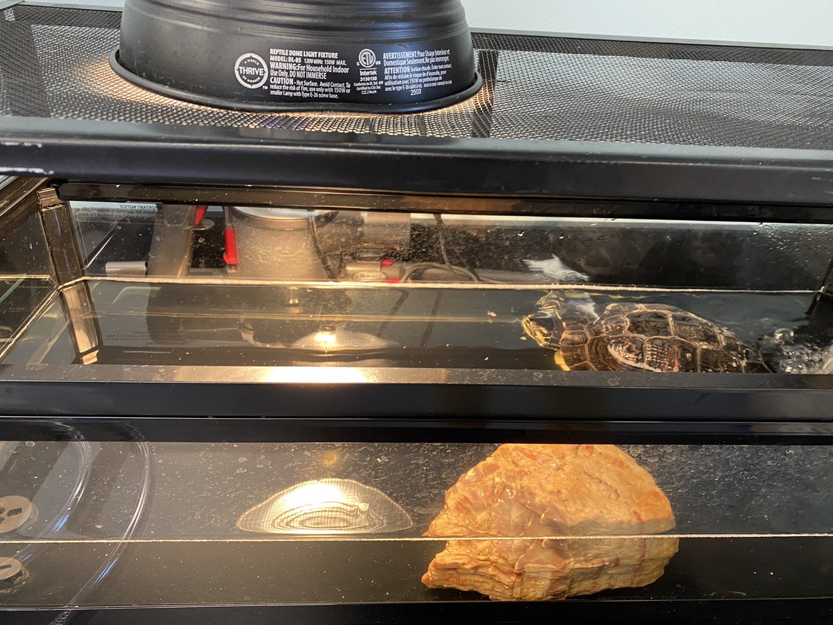 MrGD53's tweet photo. Thank you to the Butler 53 PTO! For the wonderful new tanks for all of the animals! Way to support the learning and hands on environments for the kids to take care of all the different types of animals #Butler53pto https://t.co/grs8z8v4Wp