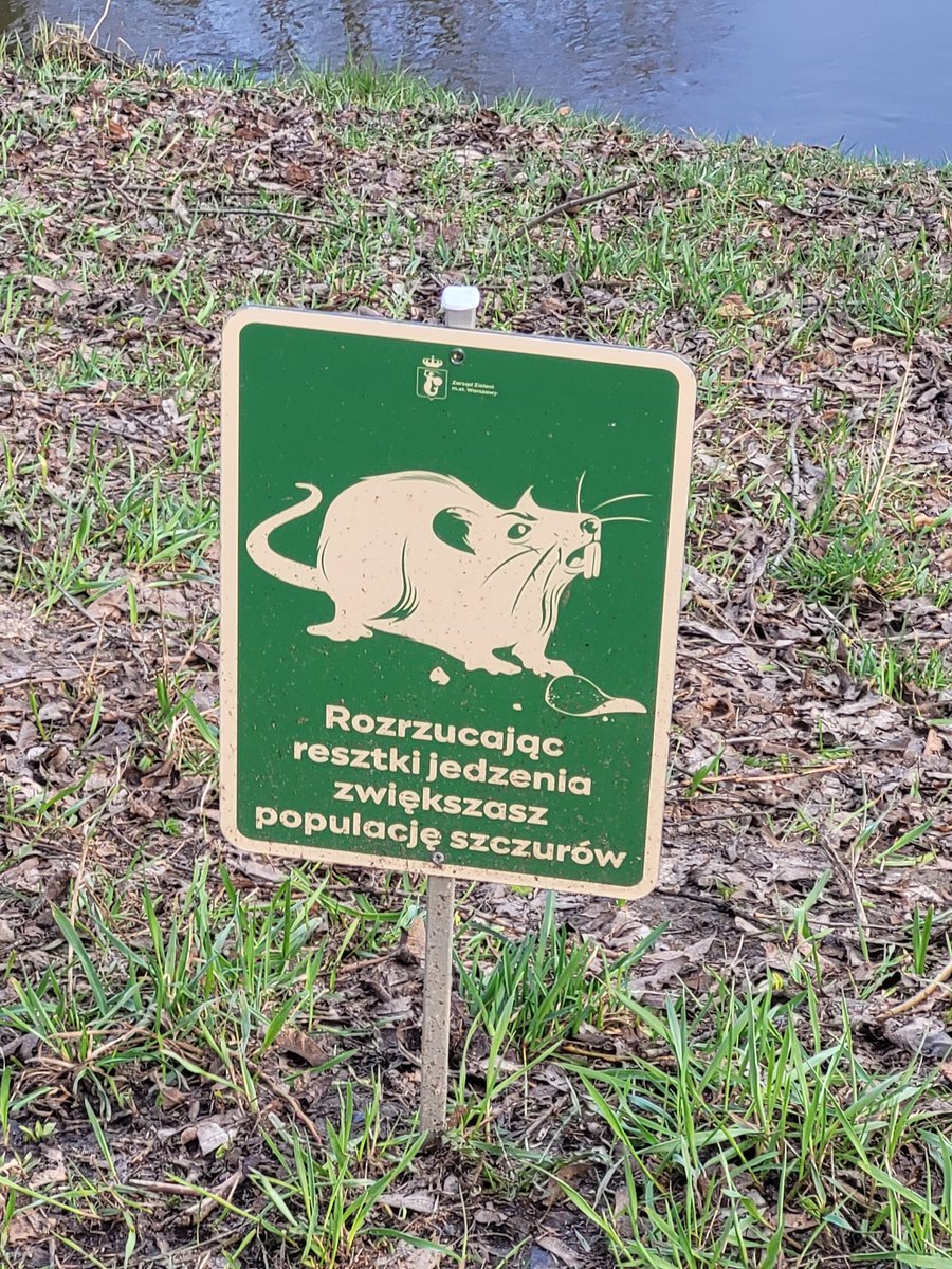 Właśnie dlatego to robię?