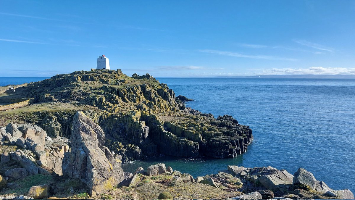 Last visit of the winter to Isle of May looking for colour ringed shags. If only the rest of the year is like this. It actually feels warm