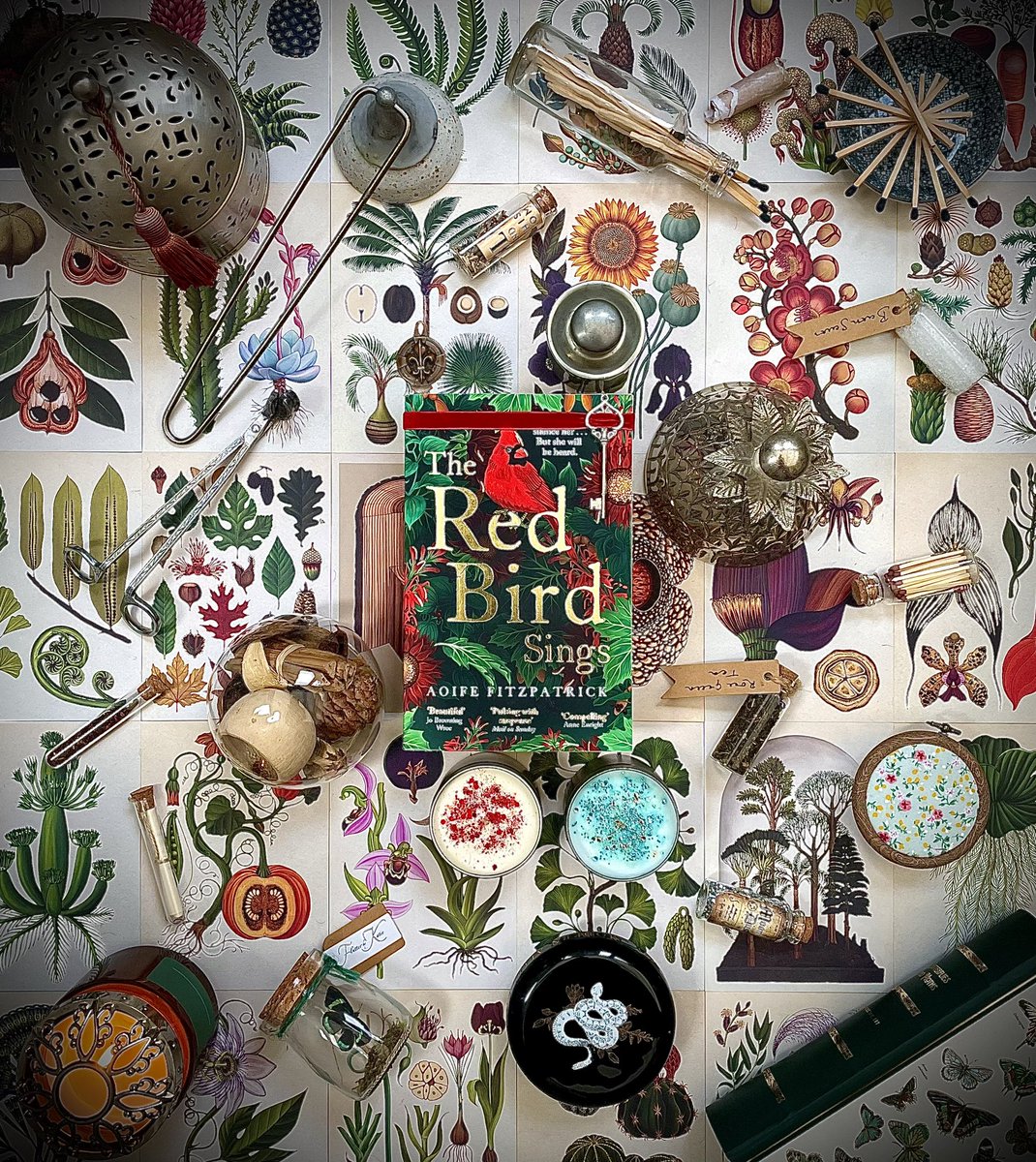 Dan-📚Bookseller/BookBlogger📚 (@dman1504) on Twitter photo 🌿 Dear reader, my review of the heartbreaking and beautiful #TheRedBirdSings by <a href="/aoifefitz_/">Aoife Fitzpatrick</a> is now live on my instagram! 🌿
Equal parts beautiful, emotional and inspiring, this book is one to fall into and cherish. Out now and published by <a href="/ViragoBooks/">Virago Press</a>
#BookReview #BookBoost 🌿 Dear reader, my review of the heartbreaking and beautiful #TheRedBirdSings by <a href="/aoifefitz_/">Aoife Fitzpatrick</a> is now live on my instagram! 🌿
Equal parts beautiful, emotional and inspiring, this book is one to fall into and cherish. Out now and published by <a href="/ViragoBooks/">Virago Press</a>
#BookReview #BookBoost