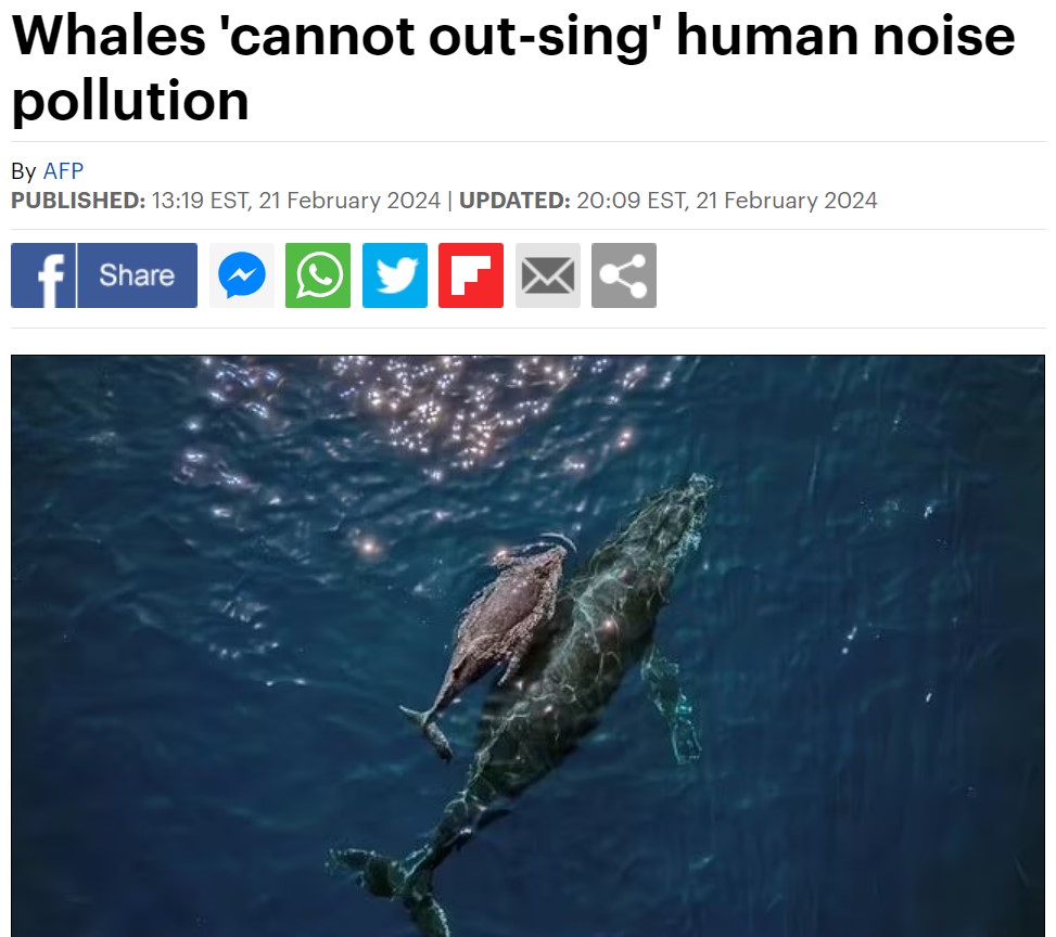 'The harm goes beyond whales -- there is evidence that scores of marine species are negatively affected by underwater noise pollution.' – Melanie Lancaster, senior Arctic species specialist at @WWF 🐋 dailymail.co.uk/wires/afp/arti…