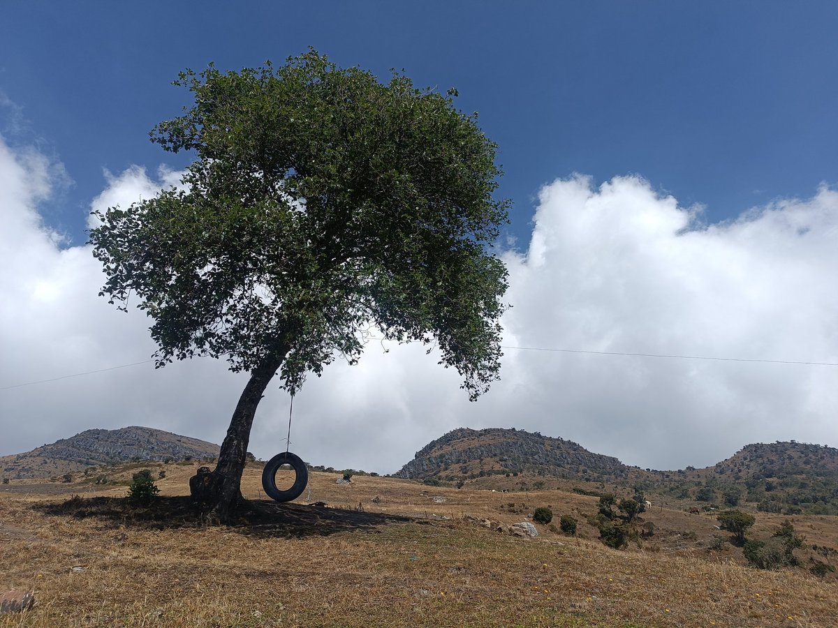 Samanthamvar's tweet photo. Hoy la vida nos regala este paisaje, de fondo el paramo de Tibamoa. Boyacá. https://t.co/ODELwmHGX2
