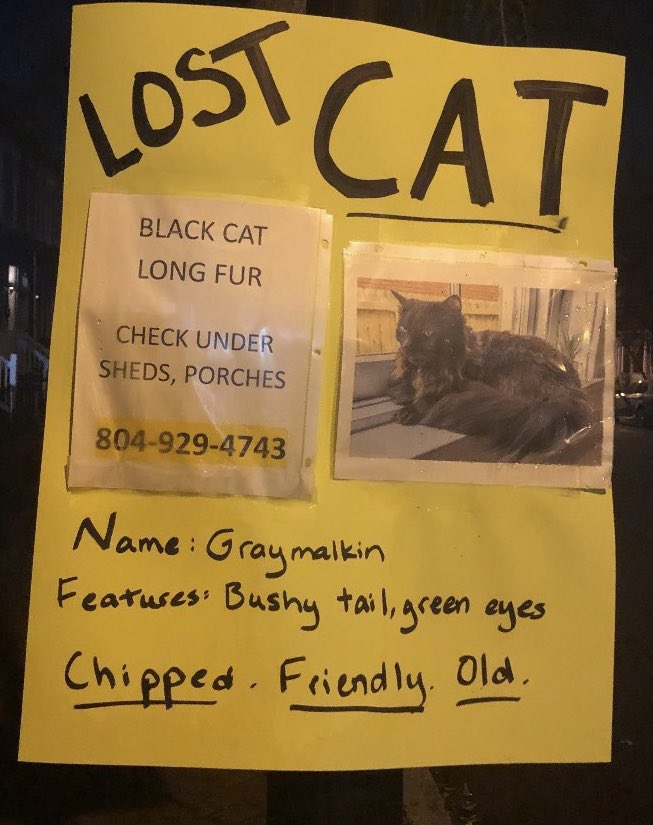 Updated flyer by way of Richmond Affirmations: this is Graymalkin! They are chipped, friendly, and old. Last seen in Jackson Ward. Please call (804) 929-4743 if you see them!!!