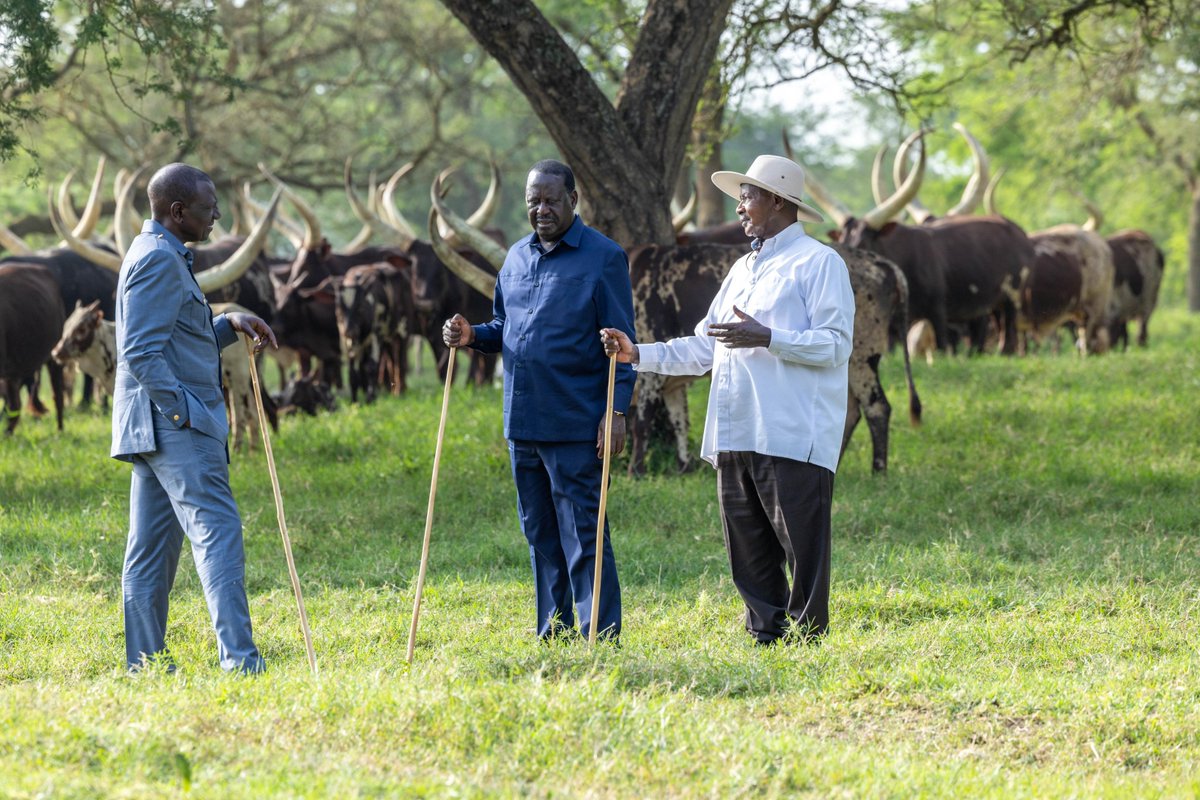 William Samoei Ruto, PhD tweet media