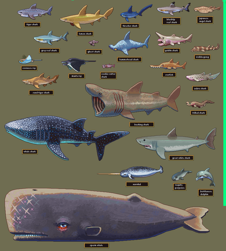 Neoriceisgood's tweet photo. Next update to the #pixelart Fish project! New Citizens of the seaciety are, amongst others: the great white, sailfin, fried-egg jellyfish and others.

Have I done your favorite yet? Let me know who I am missing! https://t.co/VIP9S267XH