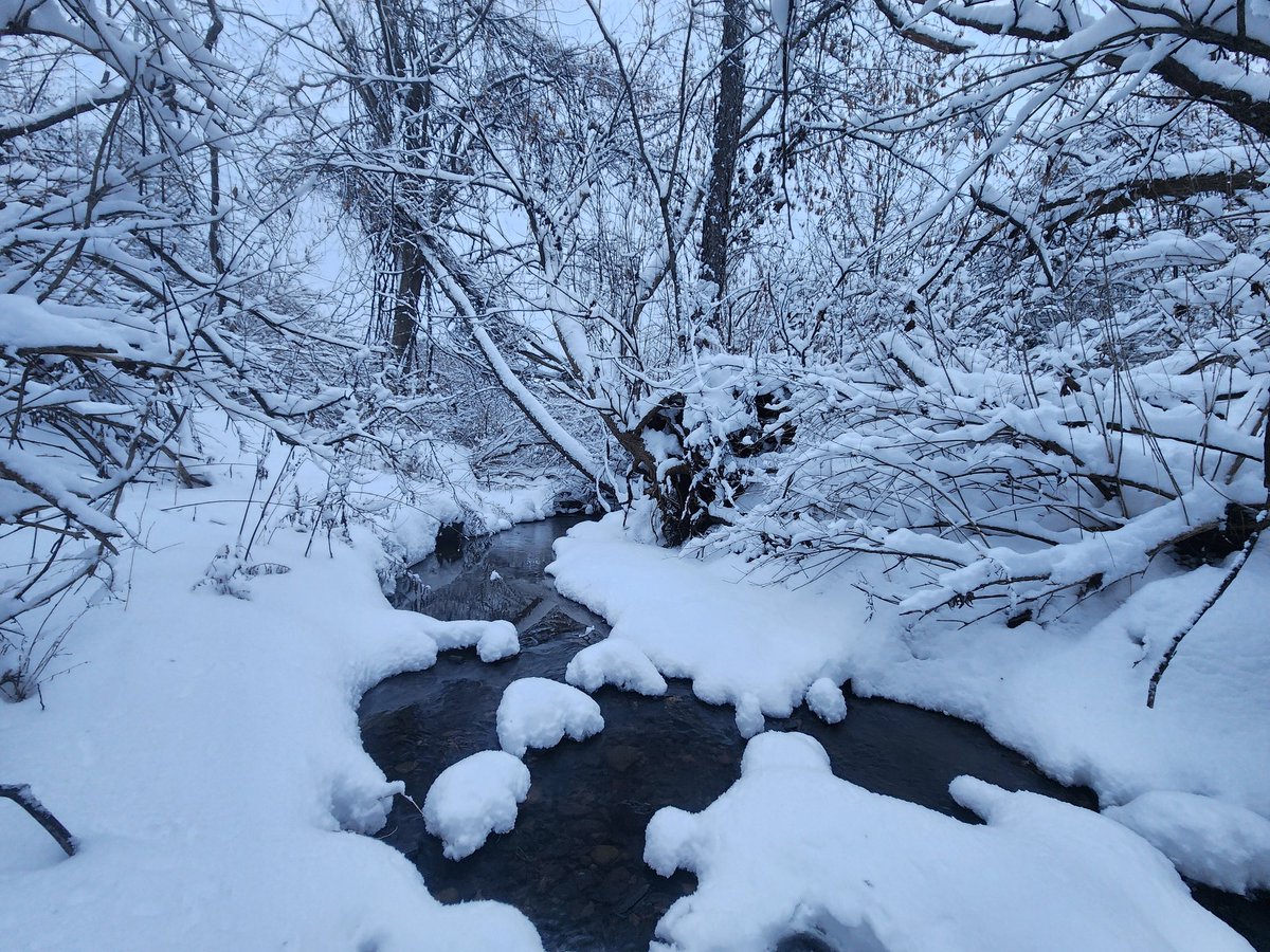 steveexplore's tweet photo. 🌲🏔🌨 #winterhiking #newyorknature #biodiversity #newyork #snowshoeing #forest https://t.co/PtWQmKHZHh