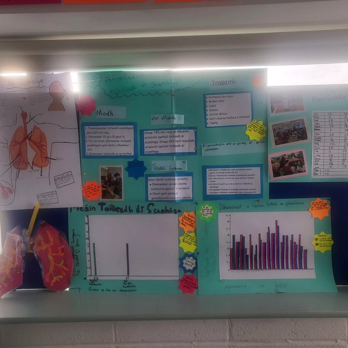 D'fhiosraigh Rang 5 'An méadódh aclaíocht laethúil toilleadh ár scamhóga?' don Blaist Eolaíochta @esbscienceblast