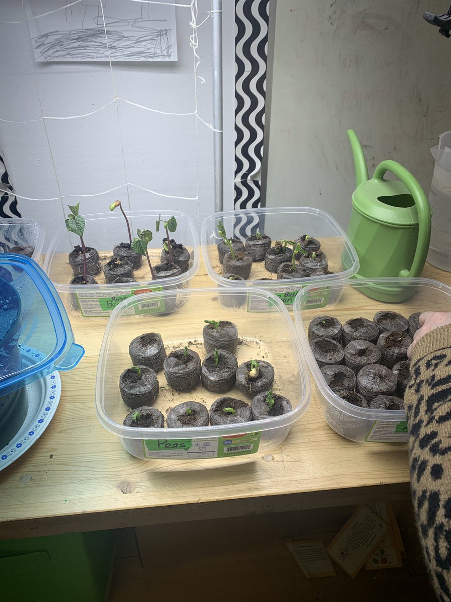 PE’s Library Learning Commons tweet media