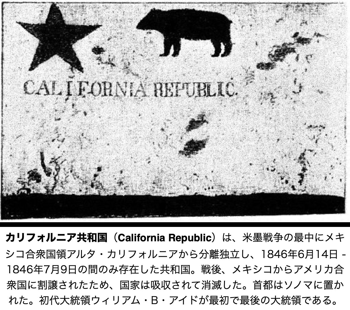 【カリフォルニア共和国（California Republic）】
国旗 : 実物