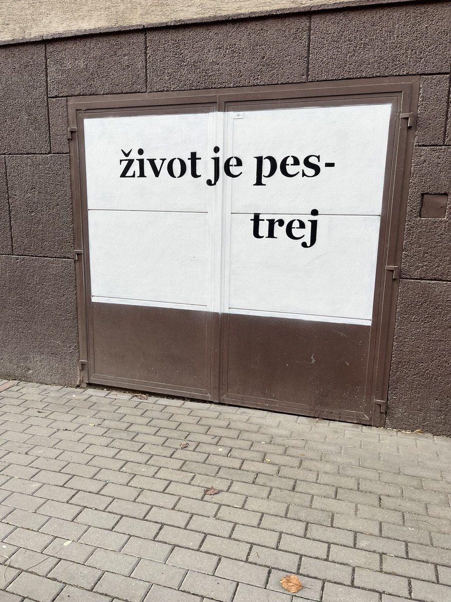 Pomalu druhý měsíc v roce u konce. V lednu jsem našvihala 20.000 přeskoku, začala jsem s Barčou běhat, přežila zkouškové, byla na dvou koncertech, začala více číst (chybí skvělá kniha Srpny) no a diplomka se konečně pohnula. A jo, ostříhala jsem se ✨