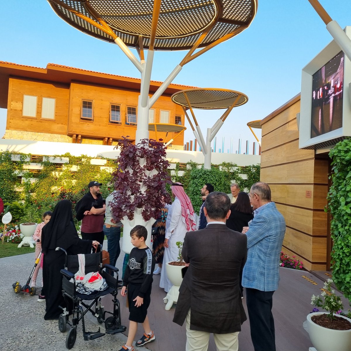 Bruno Mezzetti tweet media