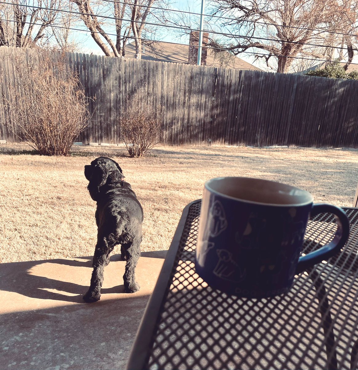 Katy Stephens tweet media