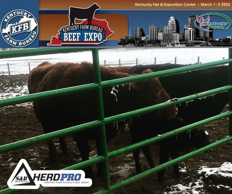 HerdPro's tweet photo. Join HerdPro at the heart of progress in the beef industry—the Kentucky Beef Expo,March 1-3, 2024. Right at the Kentucky Fair and Exposition Center. See you at our booth!

📧: sales@sbcustominnovation.com
🌐: https://t.co/JACjKo5I92 https://t.co/8XoIBsMug5