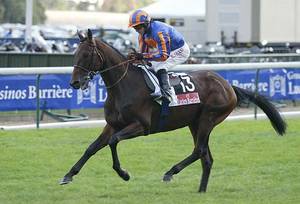 HORSERACING1002's tweet photo. HURRICANE RUN 🇮🇪2002
(MONTJEU - HOLD ON BY SURUMU)#HurricaneRun
B/ Gestut Ammerland🇮🇪Apr 13, 2002
O/ Coolmore
T/ Andre Fabre
14-8-3-2---$4,300,351
2005 Champion 🏆 3yo Colt & Horse of the year in Europe 🇪🇺. Hwt at 3 11-14f 🇮🇪🇫🇷
2006 Hwt older horse 9.5-11f🇮🇪, 11-14f🇫🇷🇬🇧 https://t.co/Jil25f2ZJ6