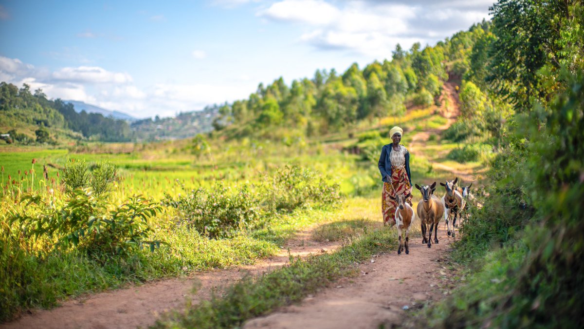 B2P's tweet image. Today, at B2P, we continue this legacy by building bridges in rural areas and connecting communities to vital services. Let&apos;s honor this rich history by prioritizing justice and inclusivity in all our infrastructure projects. #SocialJustice #EquitableInfrastructure 🌉👷‍♂️🛤️