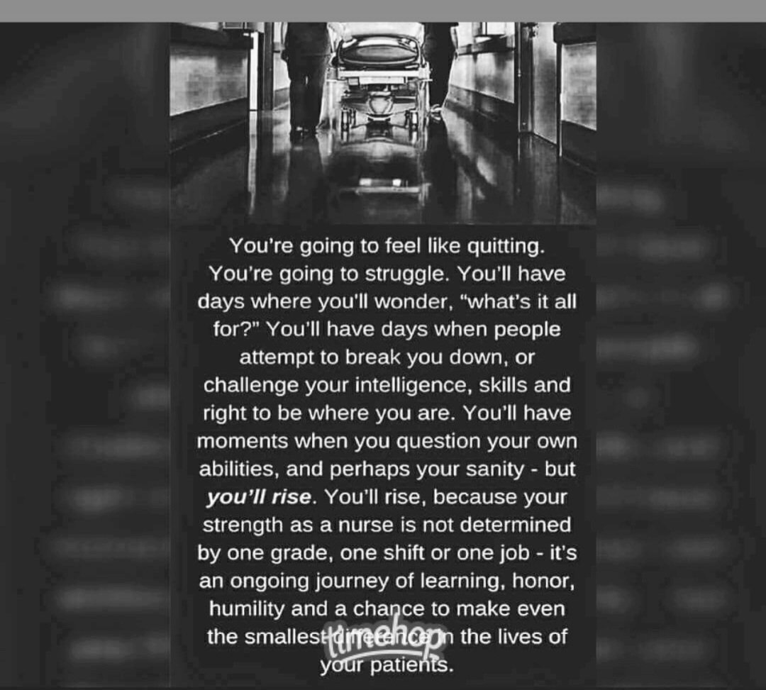 Jane Bestwick tweet media