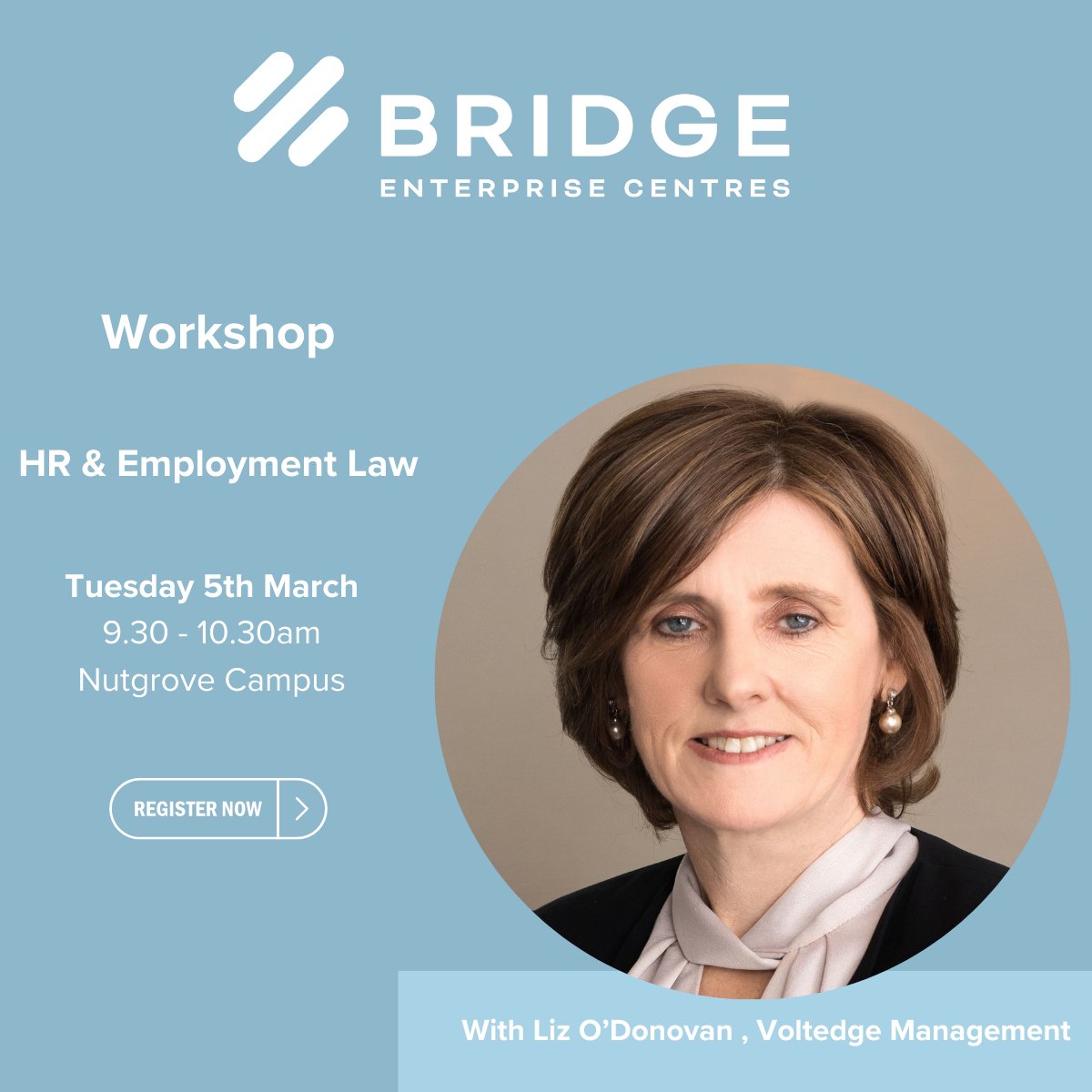 Workshop: Tuesday 5th of March, 9.30am – 10.30am. Liz O'Donovan, Senior HR Business Consultant at Voltedge Management. 
For more information and to register to attend contact Brian Kelly, brian@bridgeec.ie or call 01 494 8400.

#employmentlaw #hrstratergy #localenterpriseweek