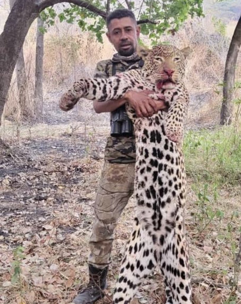 Xpose Trophy Hunting tweet media