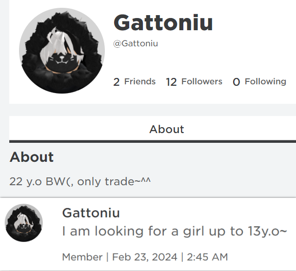 RealSchlep's tweet photo. the hero of roblox we've all waited for: https://t.co/NeP79FEZzM