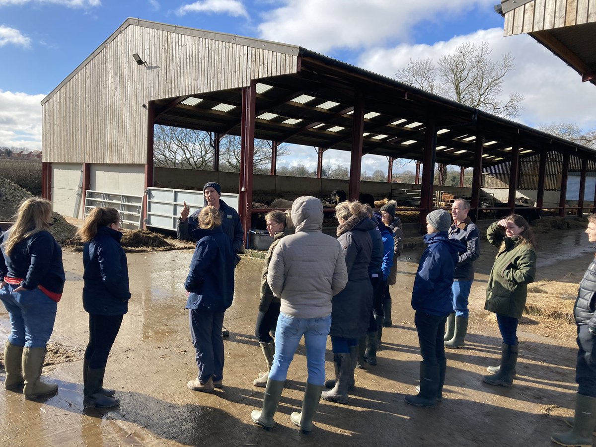 RC_Insight's tweet image. Day on farms for the @AHDB_BeefLamb Market Intelligence team. Thanks for having us Mike Powley and @cattlefinishers #AHDBInsight @Brummiebeef @__TomPrice
