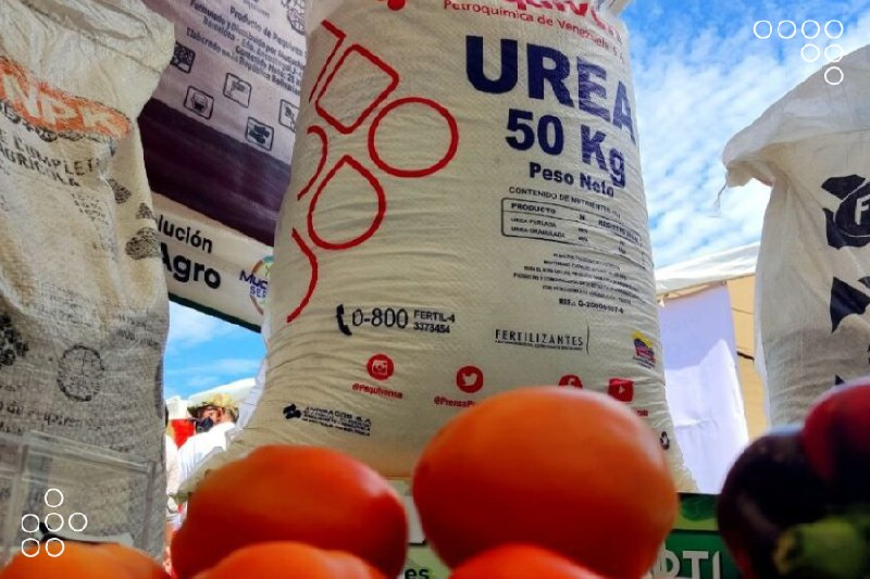 Pequiven desarrolla jornada para agroproductores de Anzoátegui

 ciip.com.ve/pequiven-desar…