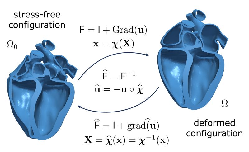 Francesco Regazzoni (@fr_regazzoni) on Twitter photo 🫀What is the shape of the heart?
How can we find the relaxed state of an elastic body if we know its deformed configuration?
Check out our paper just published on #CMAME!
📚researchgate.net/publication/37…
@DRiccobelli
<a href="/iHEARTsimulator/">iHEART simulator</a>
<a href="/mox_lab/">MOX Laboratory</a> 🫀What is the shape of the heart?
How can we find the relaxed state of an elastic body if we know its deformed configuration?
Check out our paper just published on #CMAME!
📚researchgate.net/publication/37…
@DRiccobelli
<a href="/iHEARTsimulator/">iHEART simulator</a>
<a href="/mox_lab/">MOX Laboratory</a>