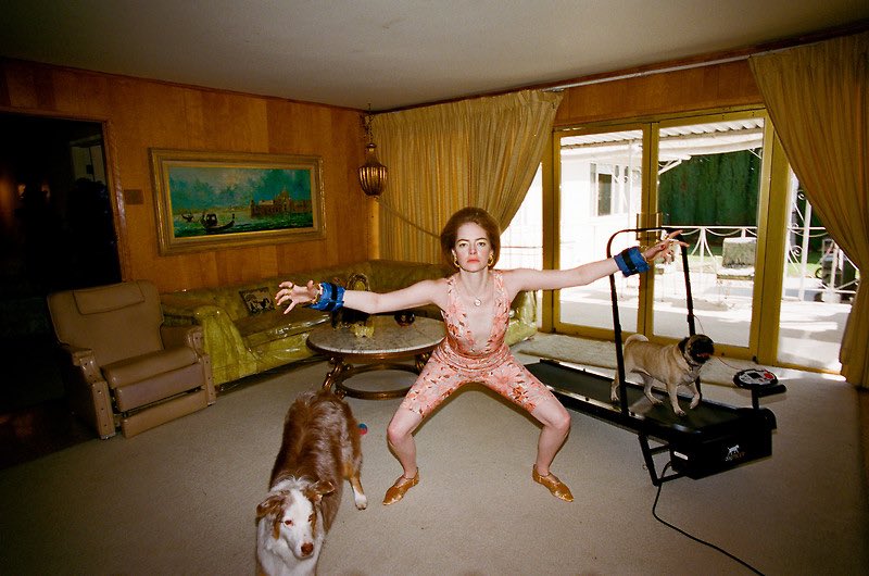 Emma Stone as a suburban dog lady. Directed and photographed by Yorgos Lanthimos