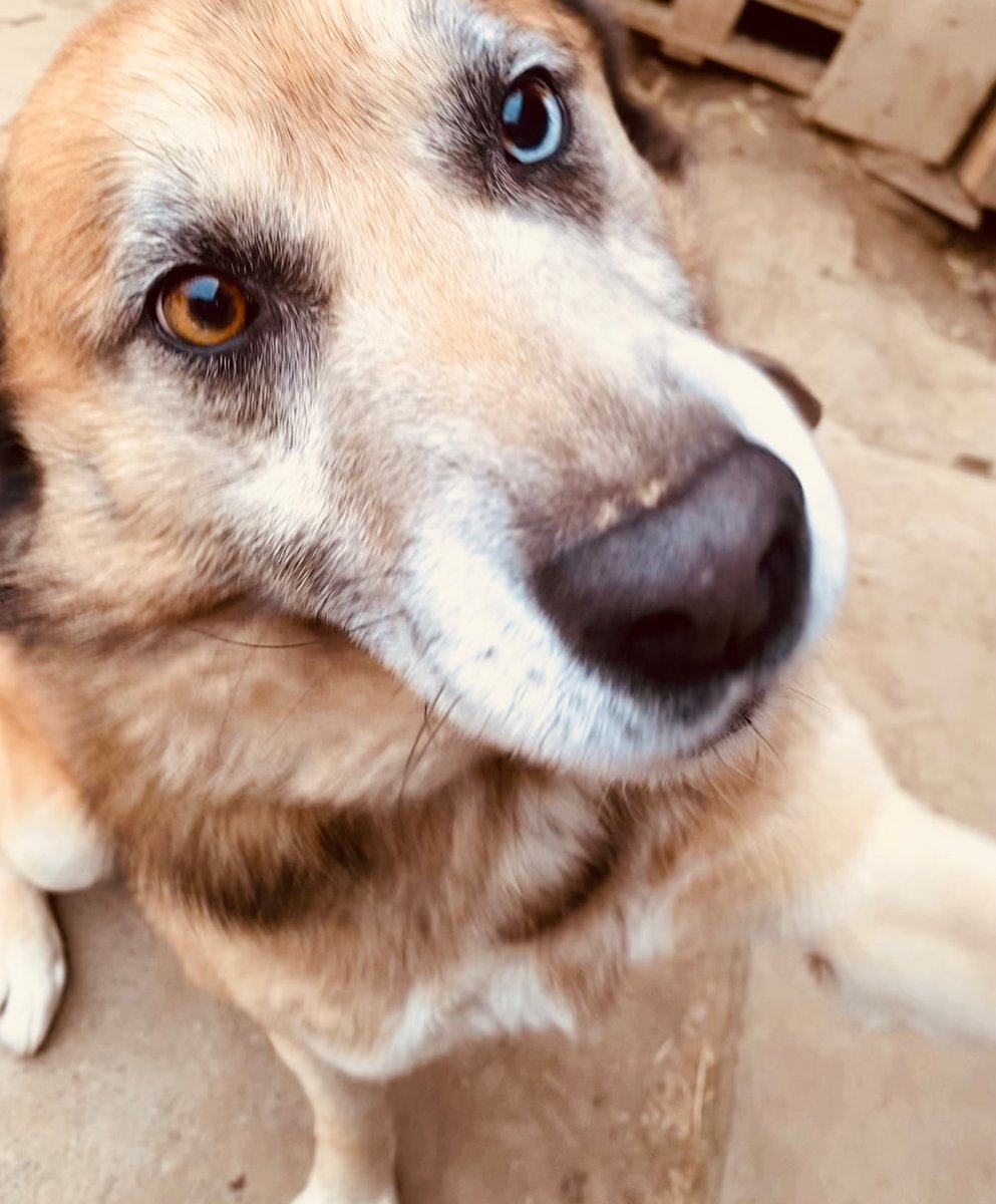 Срце🥰♥️