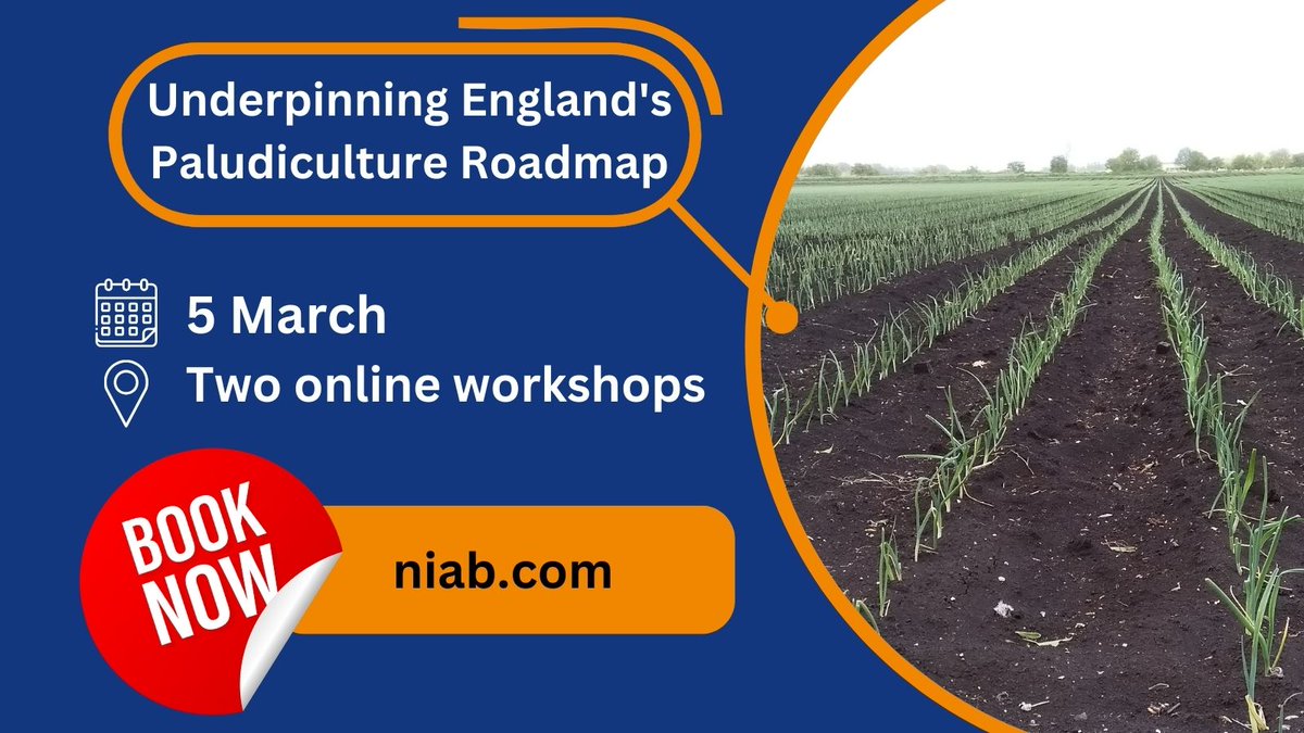 NIAB are leading a quick scoping project for Defra around paludiculture. As part of the project, we are also arranging two short online workshops on Tuesday 5th March. 

More info and book your spot ow.ly/tJnq50QHREa