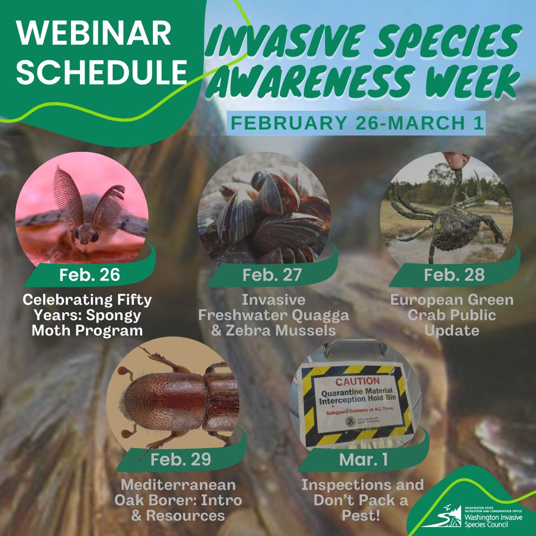 There is still time to register for our free webinar this afternoon! The topic will be celebrating the fifty-year anniversary of the spongy moth program. bit.ly/3T9JbEG Always remember to clean hiking boots, bikes, trailers, and vehicles to avoid spreading hitchhikers!