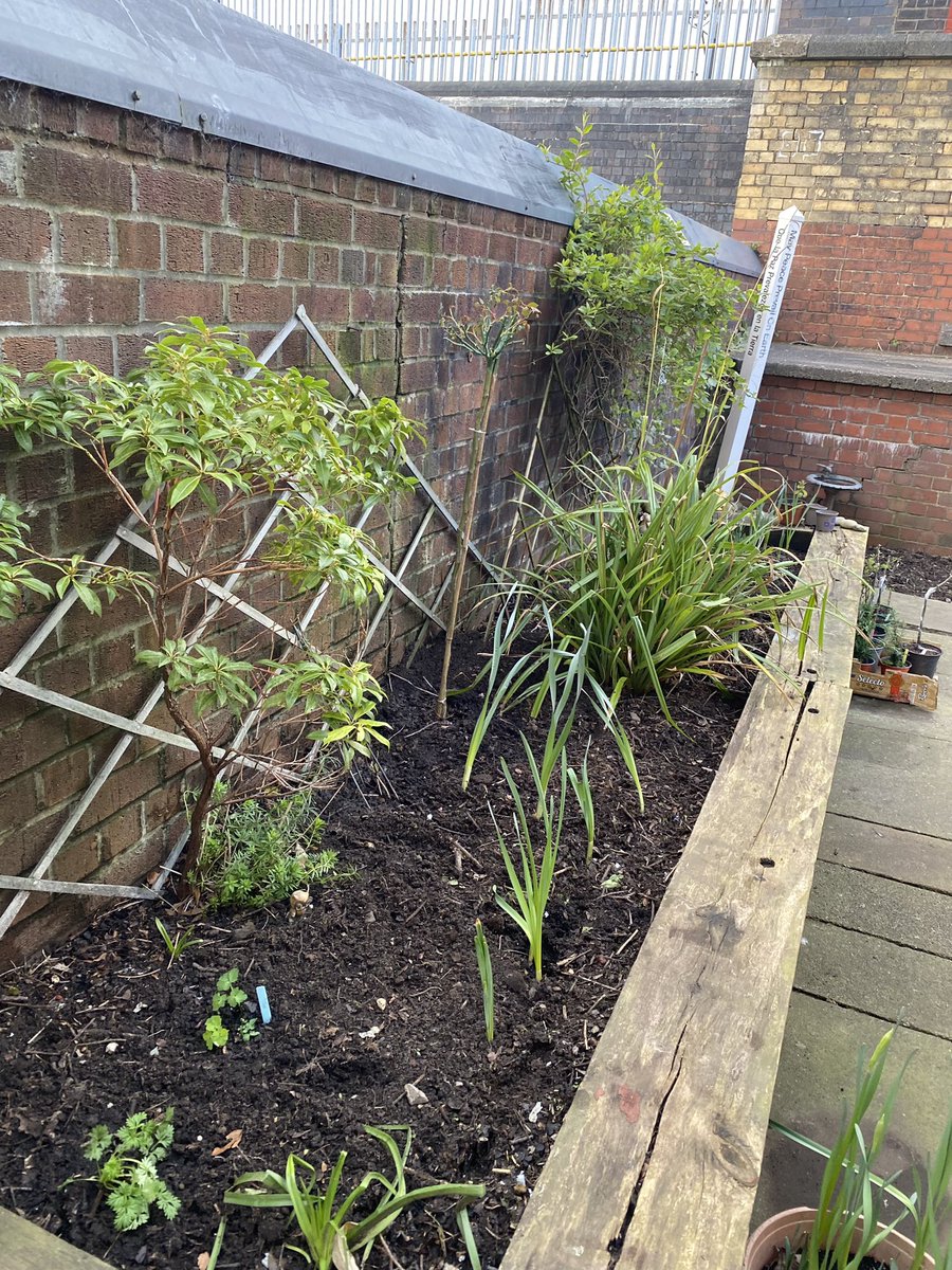 Mental Health Charity - Creative Living Centre (@creativelivingc) on Twitter photo Brilliant progress at our <a href="/CreativeLivingC/">Mental Health Charity - Creative Living Centre</a> garden area. Despite the cold today Spring is coming. Big thanks to our members, garden volunteers and the <a href="/Lancswildlife/">Lancashire Wildlife Trust</a> team for their efforts. Funded by our friends at @gmenvfund 👍 Brilliant progress at our <a href="/CreativeLivingC/">Mental Health Charity - Creative Living Centre</a> garden area. Despite the cold today Spring is coming. Big thanks to our members, garden volunteers and the <a href="/Lancswildlife/">Lancashire Wildlife Trust</a> team for their efforts. Funded by our friends at @gmenvfund 👍