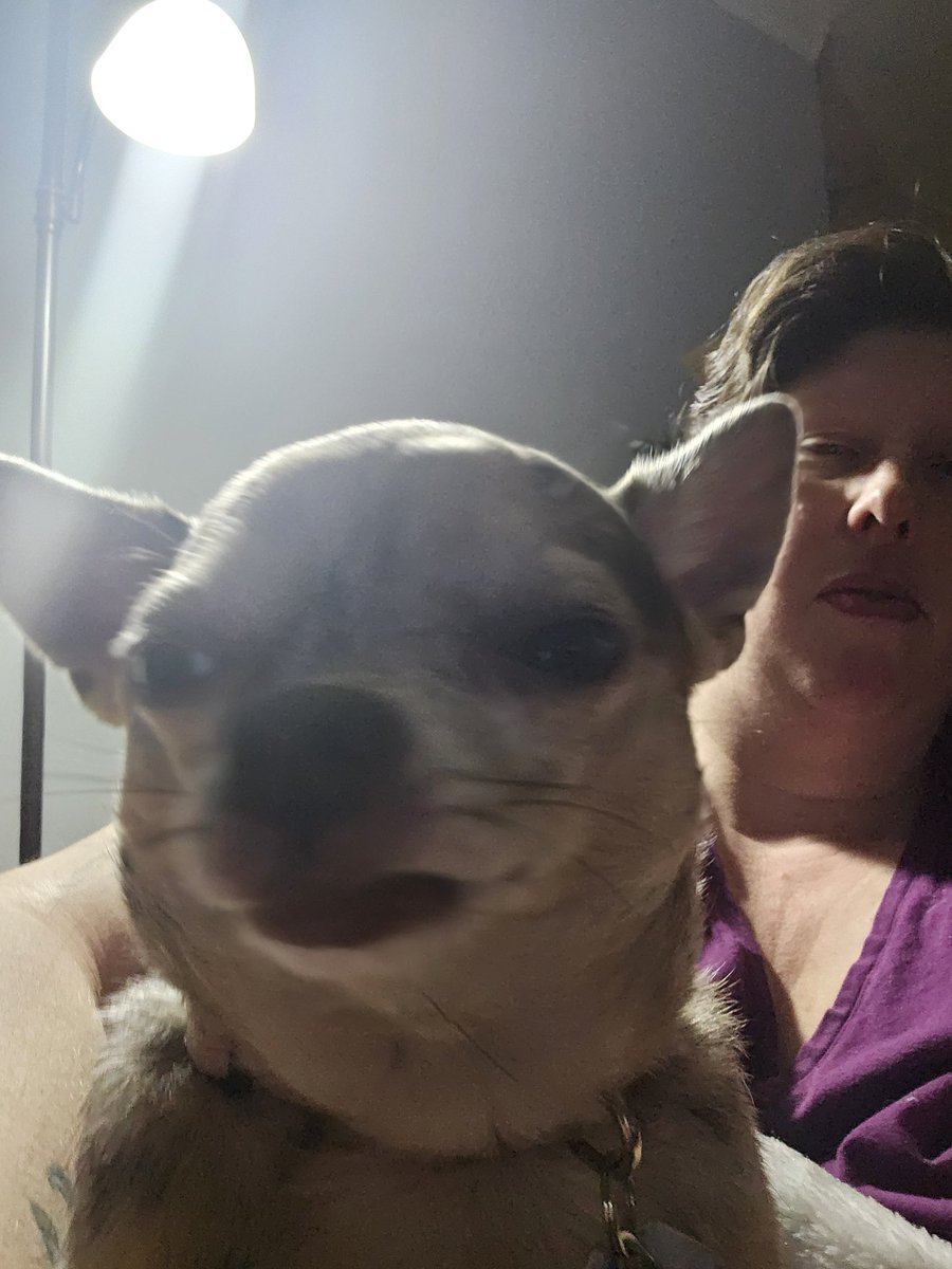ReckerCheryl's tweet photo. @bunsenbernerbmd Big personalities is an understatement. They have a lot to say about a lot of things. And their mortal enemies are squirrels. https://t.co/JaVGsdIOJt