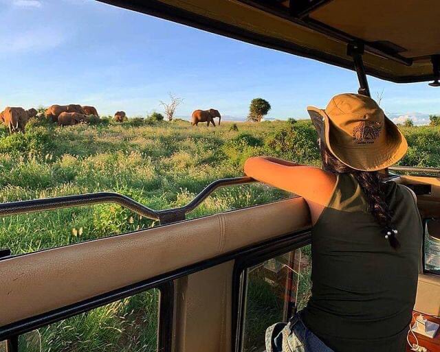 SafarisEmperor's tweet photo. Are you a budget traveler to Tanzania &amp; Zanzibar OR Looking for a group to join !

We have answers to your dream! Hit our Dm or 

Emails; info@emperoradventures.com
WhatsApp; +255657655579
For more; https://t.co/ei7S13CdYI

#holidays  #Travel #vacation #traveling https://t.co/U92l6ilHb2