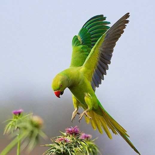 #صورة_ملف_شخصي_جديدة