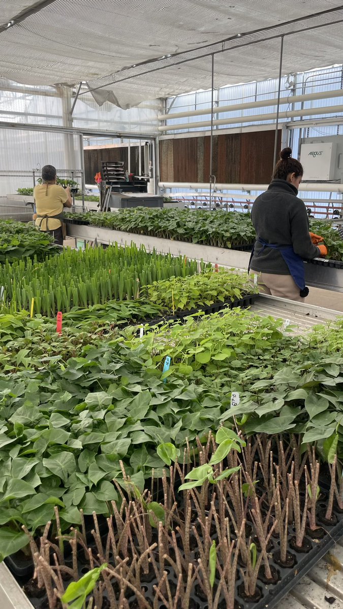 AALP Class tweet media