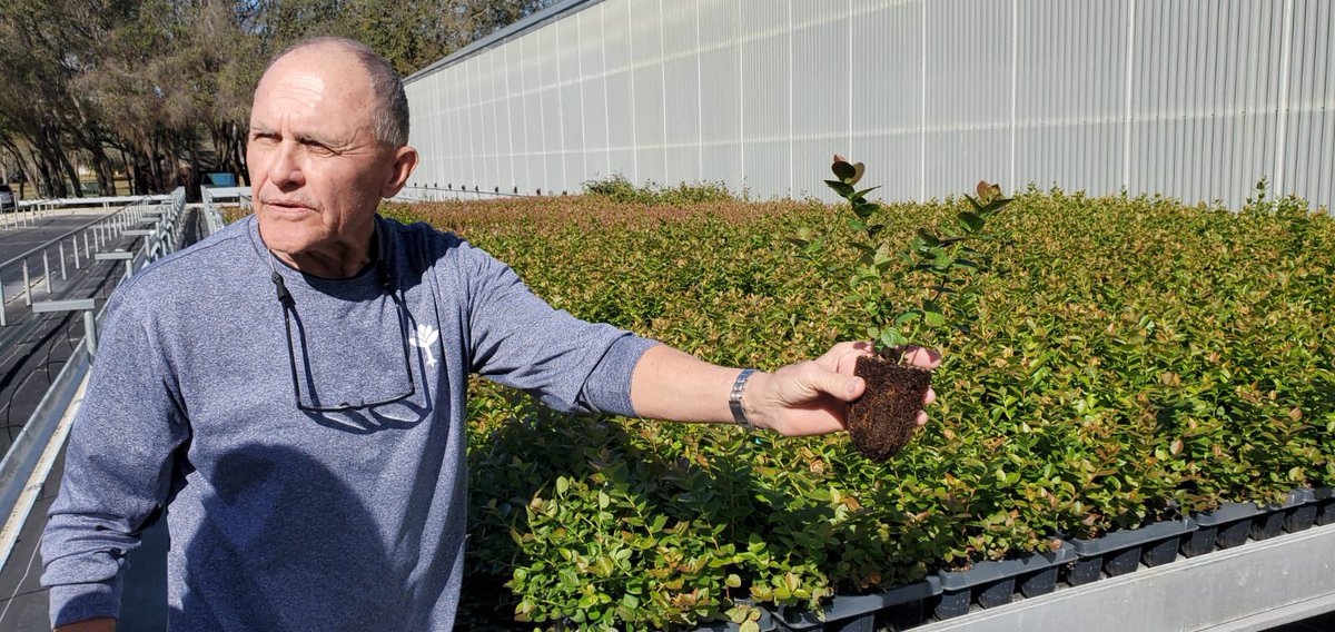 AALP Class tweet media