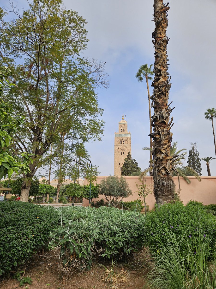 AlvaroMartin7's tweet photo. Marrakech 🏜🇲🇦 https://t.co/CdO1RmLnzw