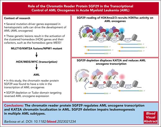 SGF29 regulates AML oncogene transcription and KAT2A chromatin localization in AML. ow.ly/P7SX50QGPBt #myeloidneoplasia
