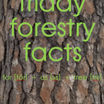 Photo by AR Forestry Assn. (@arkforests)