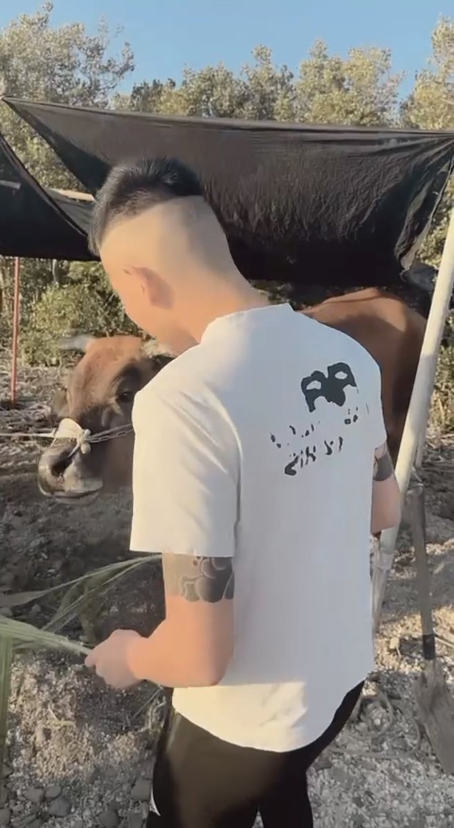 #雙性 #付費約
現在好無聊 誰要跟我聊天
#幫我轉發可免費約