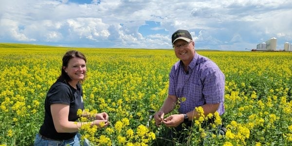realagriculture's tweet photo. Farming Forward: Practical considerations for #covercrops to improve soil health and reduce inputs #cdnag #ontag #westcdnag #FarmingForward @AxtenFarmsLtd @FarmersClimate https://t.co/xd8q1ZY1Dc https://t.co/lrnKkGOrPF