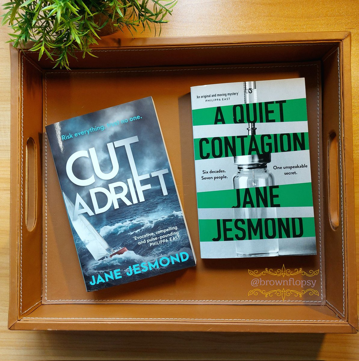 Thank you to @VERVE_Books for very kindly sending me #CutAdrift and #AQuietContagion by @AuthorJJesmond which I cannot wait to read!  
@VERVE_Books are one of my fav indie publishers, and I highly recommend a browse through their briliant catalogue!  vervebooks.co.uk
