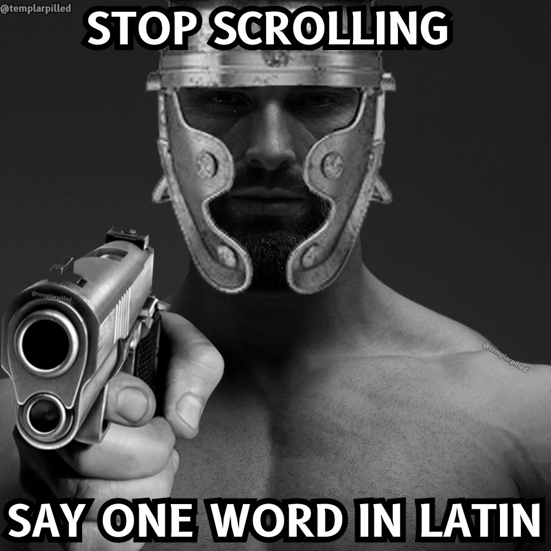 Templarpilled tweet media