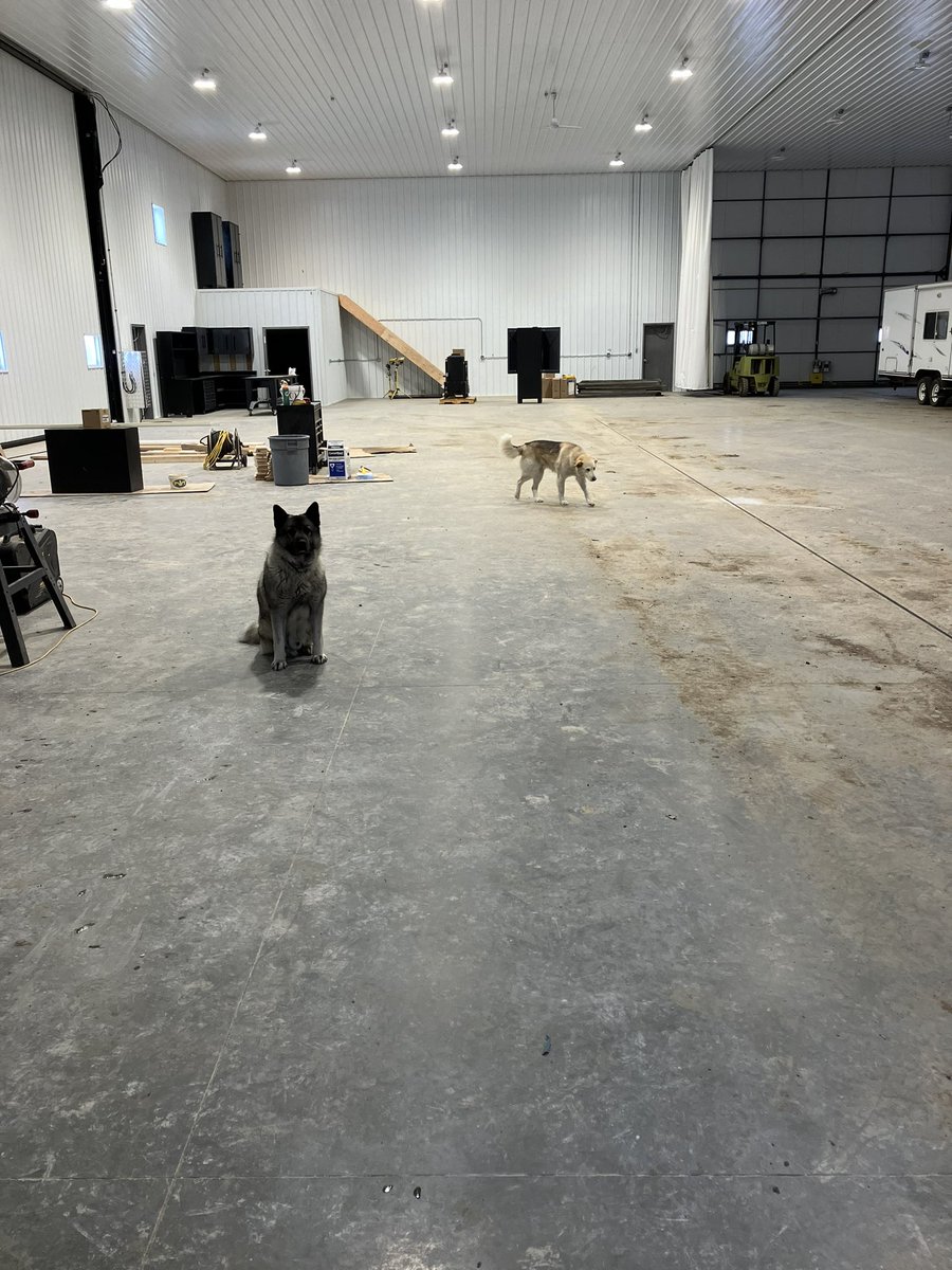 Brian Kohlman🇷🇺🇳🇮 tweet media