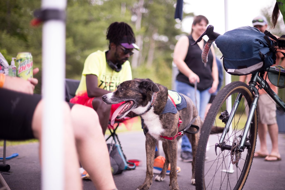 Don't miss out on the paw-sibility of encountering these adorable faces! 🚵‍♂️🐾 Register now for the Tri-State Trek! tristatetrek.com 🐶