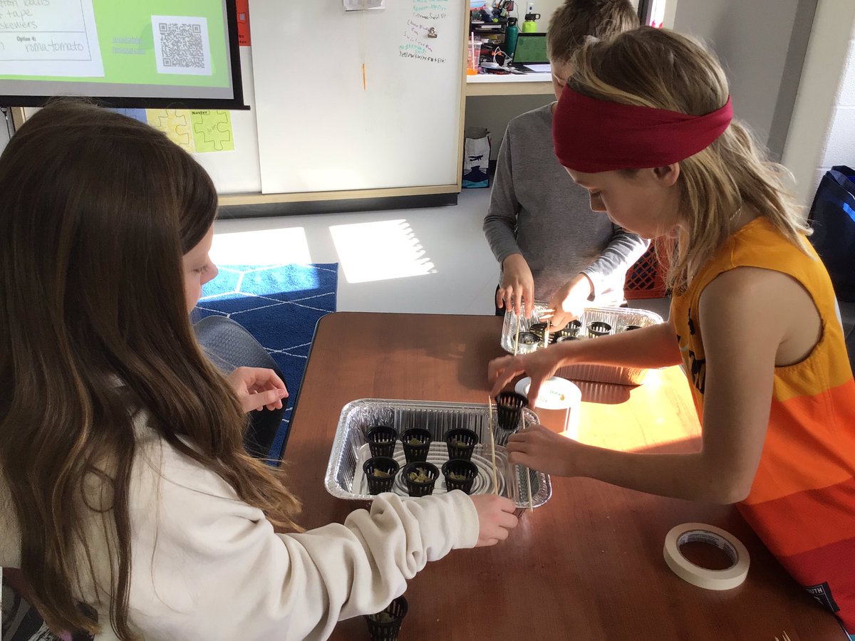 Mary Blackwell tweet media