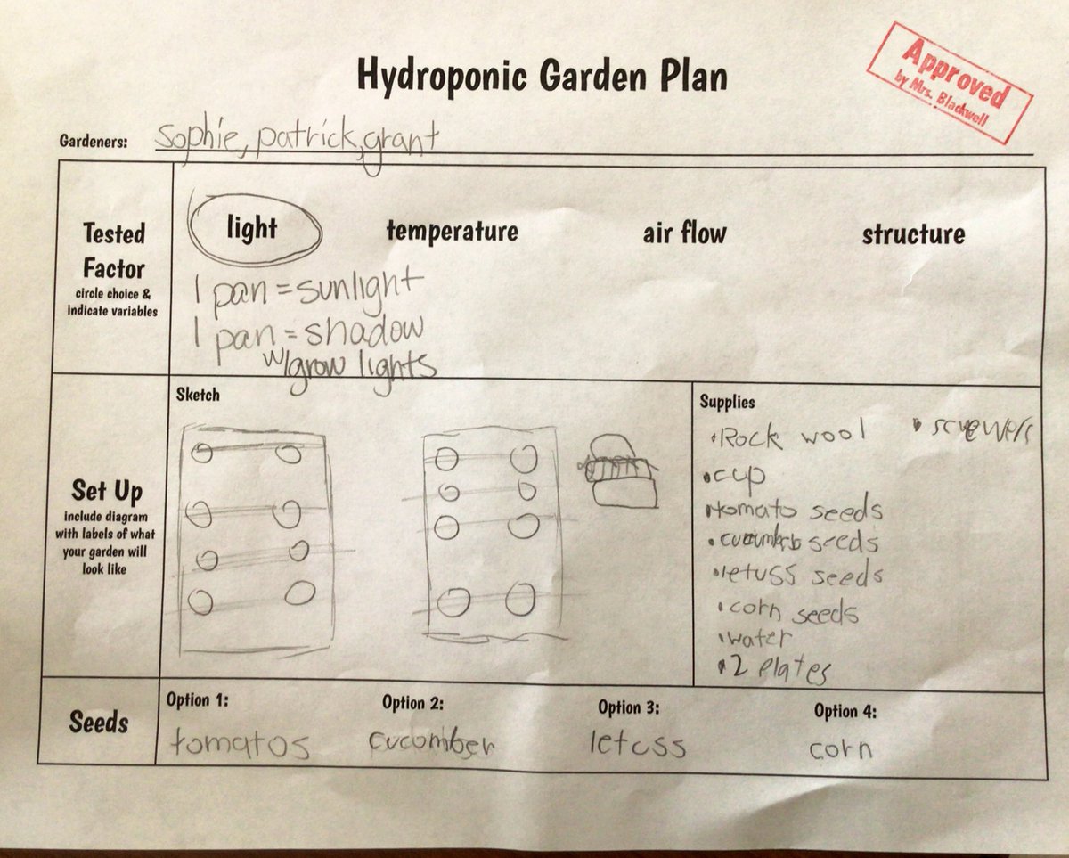 Mary Blackwell tweet media