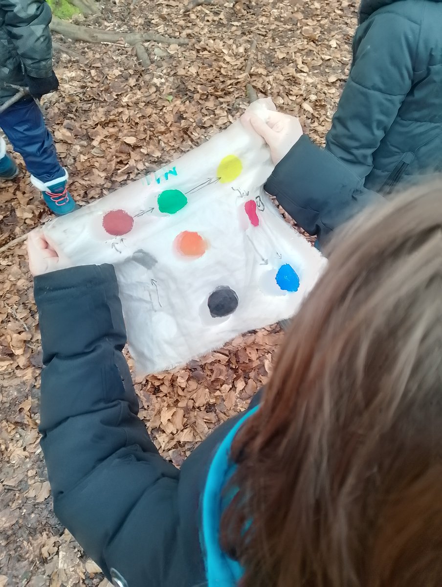 Year 4 did some great map work at Forest School. They used a compass to orientate their map and then followed the directions to uncover a hidden code.
