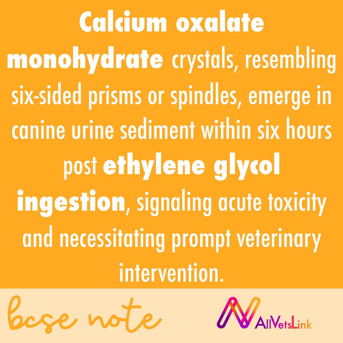 PaMoEs's tweet photo. 🚨Vets, know this: Ethylene glycol toxicity from antifreeze is deadly for pets, with high fatality rates for cats (78-96%) &amp; dogs (44-70%). Key signs include acute renal damage &amp; metabolic disorders. Quick diagnosis &amp; treatment are crucial. 🐾💔 #VetMed #ToxicologyAwareness https://t.co/p7TJmHE2tB