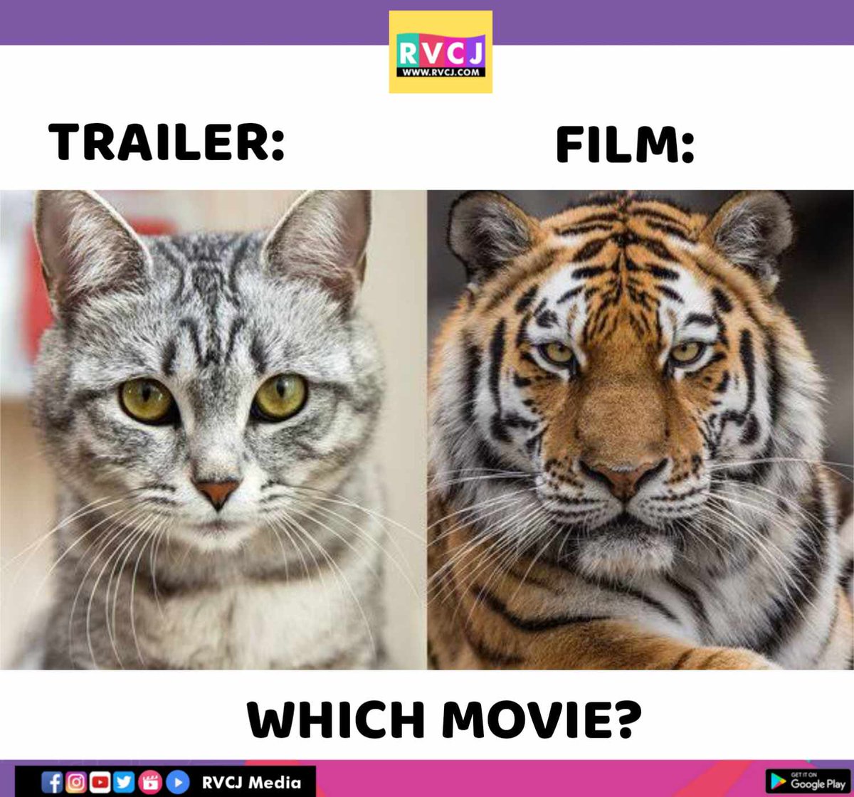 RVCJ Media tweet media